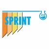 Sprint ICR