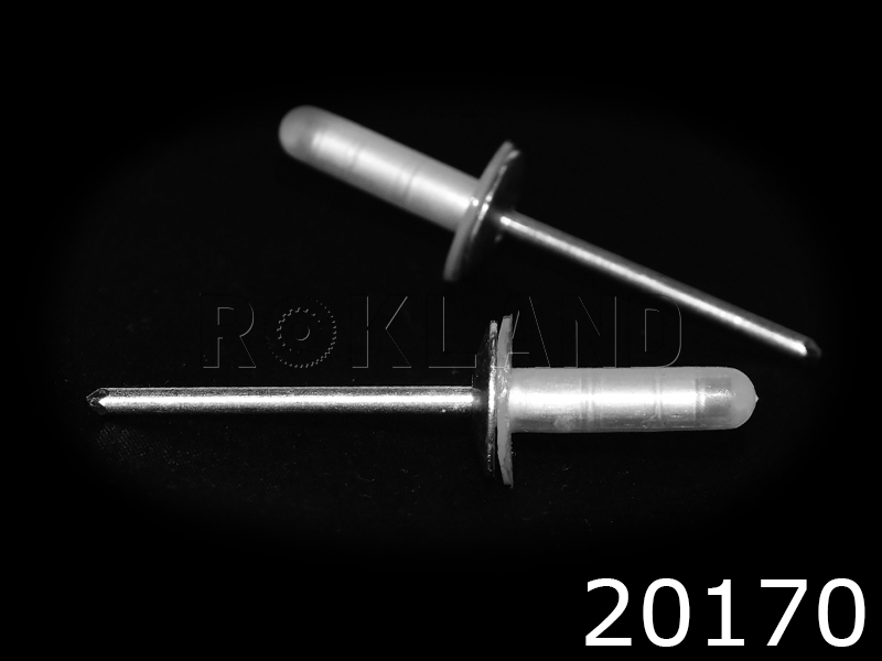 20170 Заклепка для крышки бензобака TOYOTA/LEXUS пластик d-2,8mm, Rokland