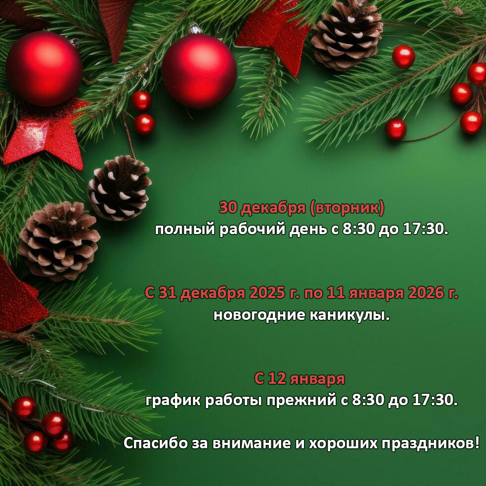 График работы в нов гот для биа.су-2026.jpg График работы в нов гот для биа.су-2026.jpg